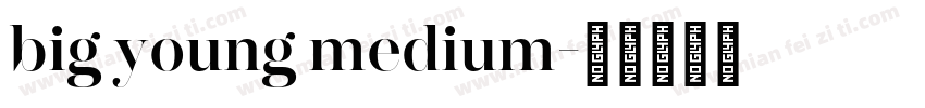 big young medium字体转换